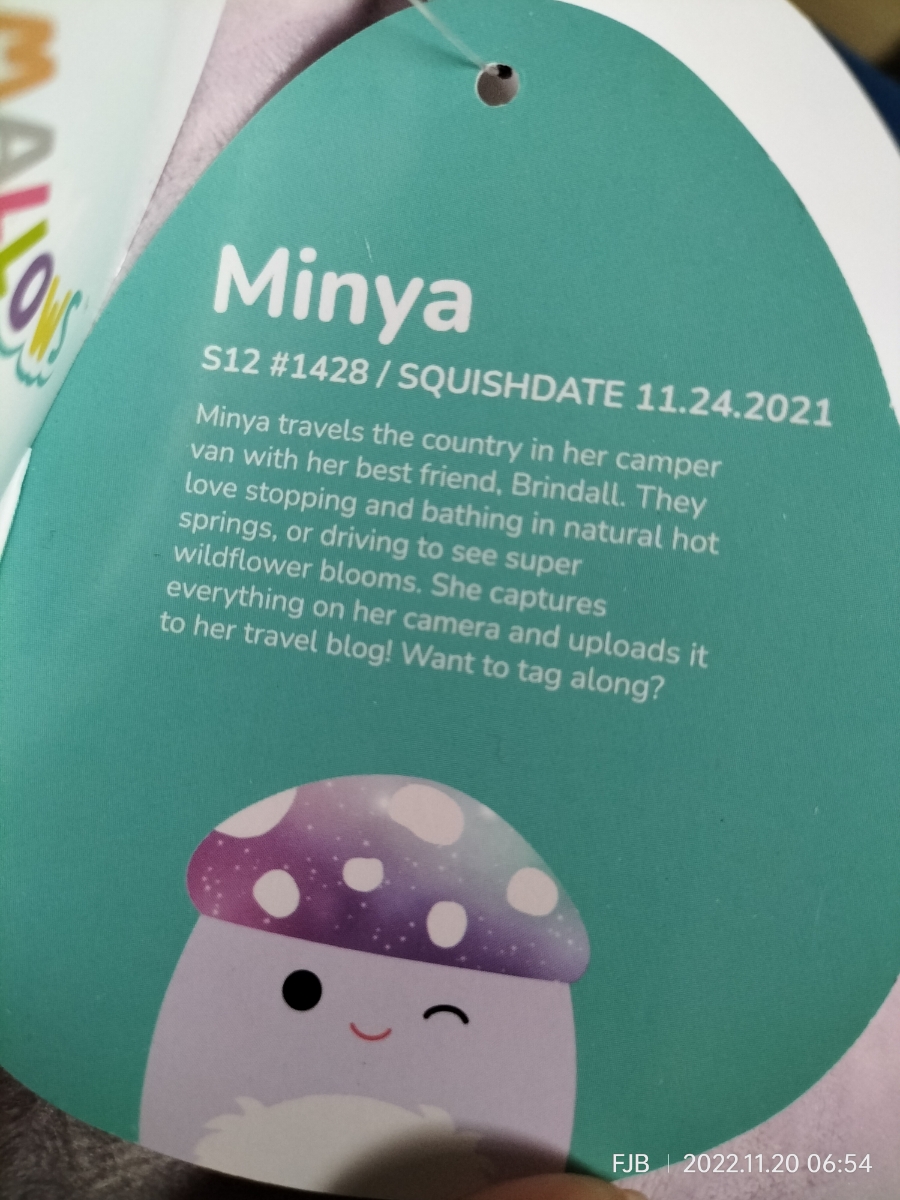 Minya The Mushroom Squishmallows Fantasy Squadapp