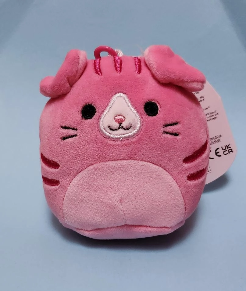 Geraldine The Scottish Fold Cat Squishmallows Squadapp