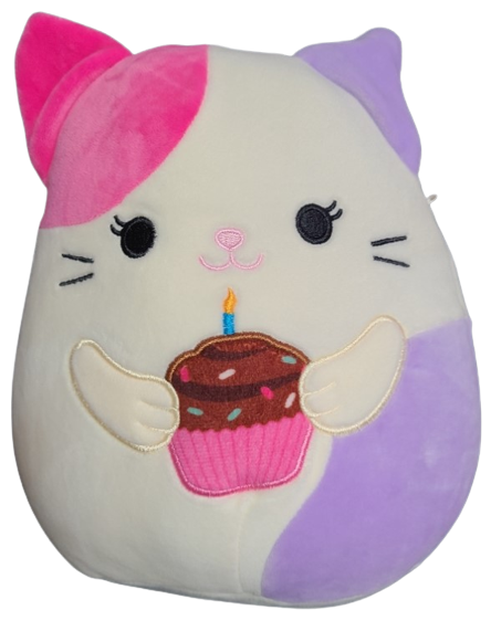 Carlota the Cat Squishmallows Birthday | SquadApp