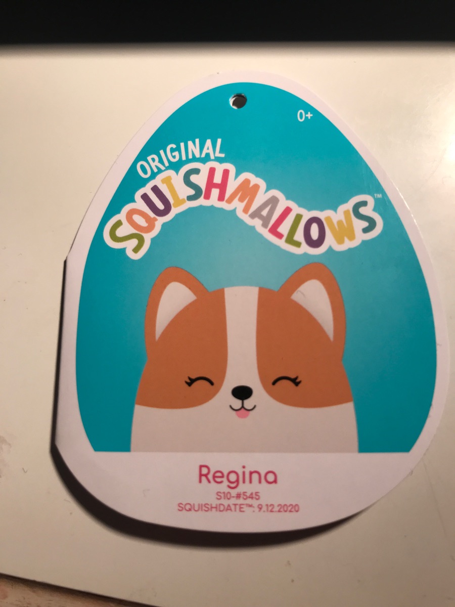 Regina the (Dog) Squishmallows SquadApp