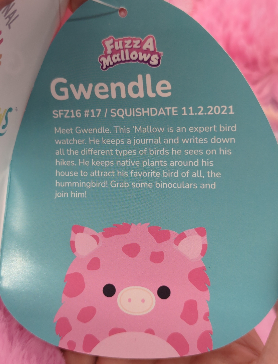 Gwendle squishmallow outlet