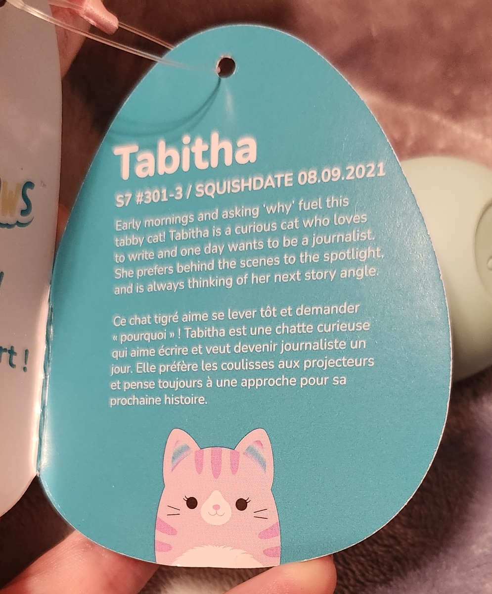 Squishmallows Tabitha the Tabby 2024 Cat 12