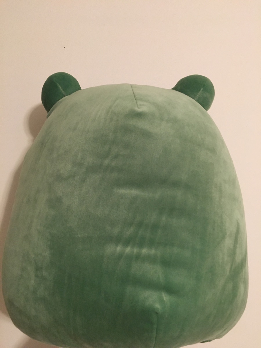 Gloria the Frog Squishmallows | SquadApp