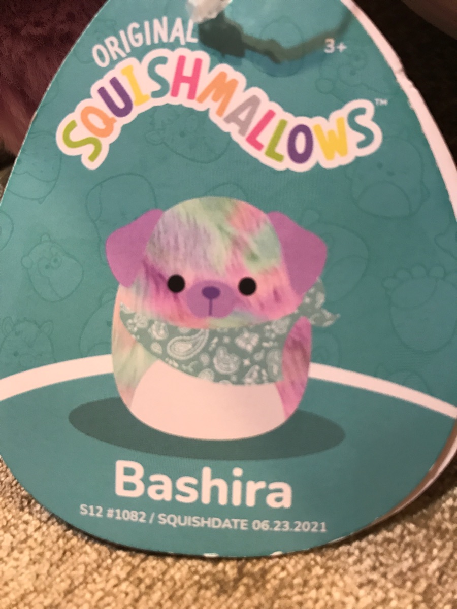 Bashira The Dog Squishmallows | SquadApp