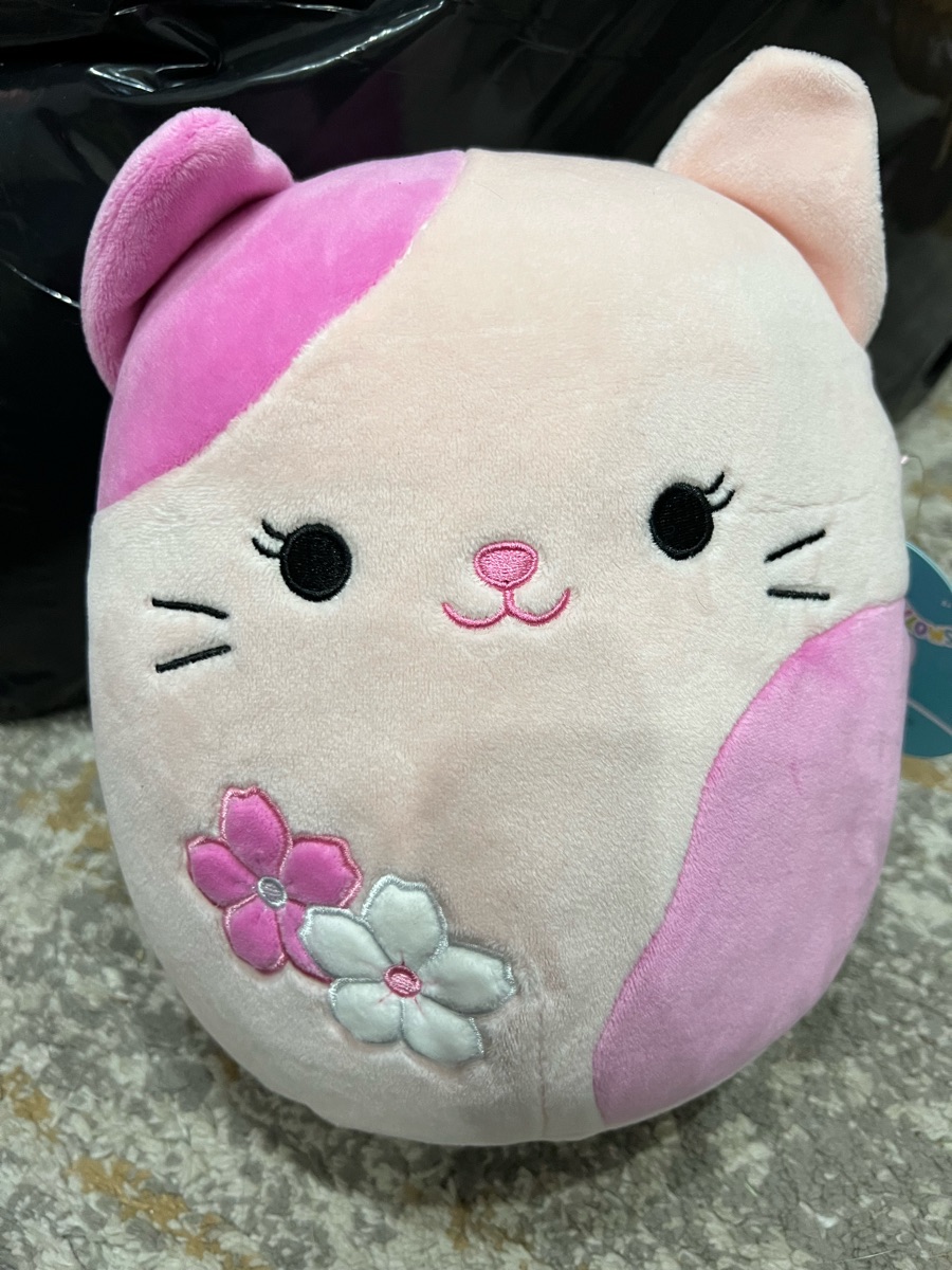 Roseanne & sold Zumirez Squishmallow Set NEW Kitty Bat