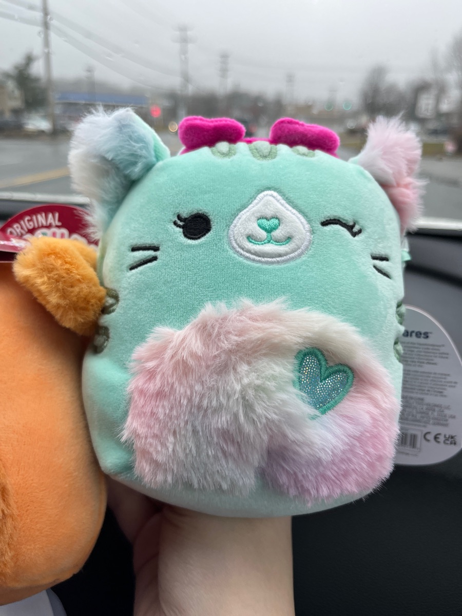 Corinna (Heart Headband, Heart Belly) the Cat Squishmallows