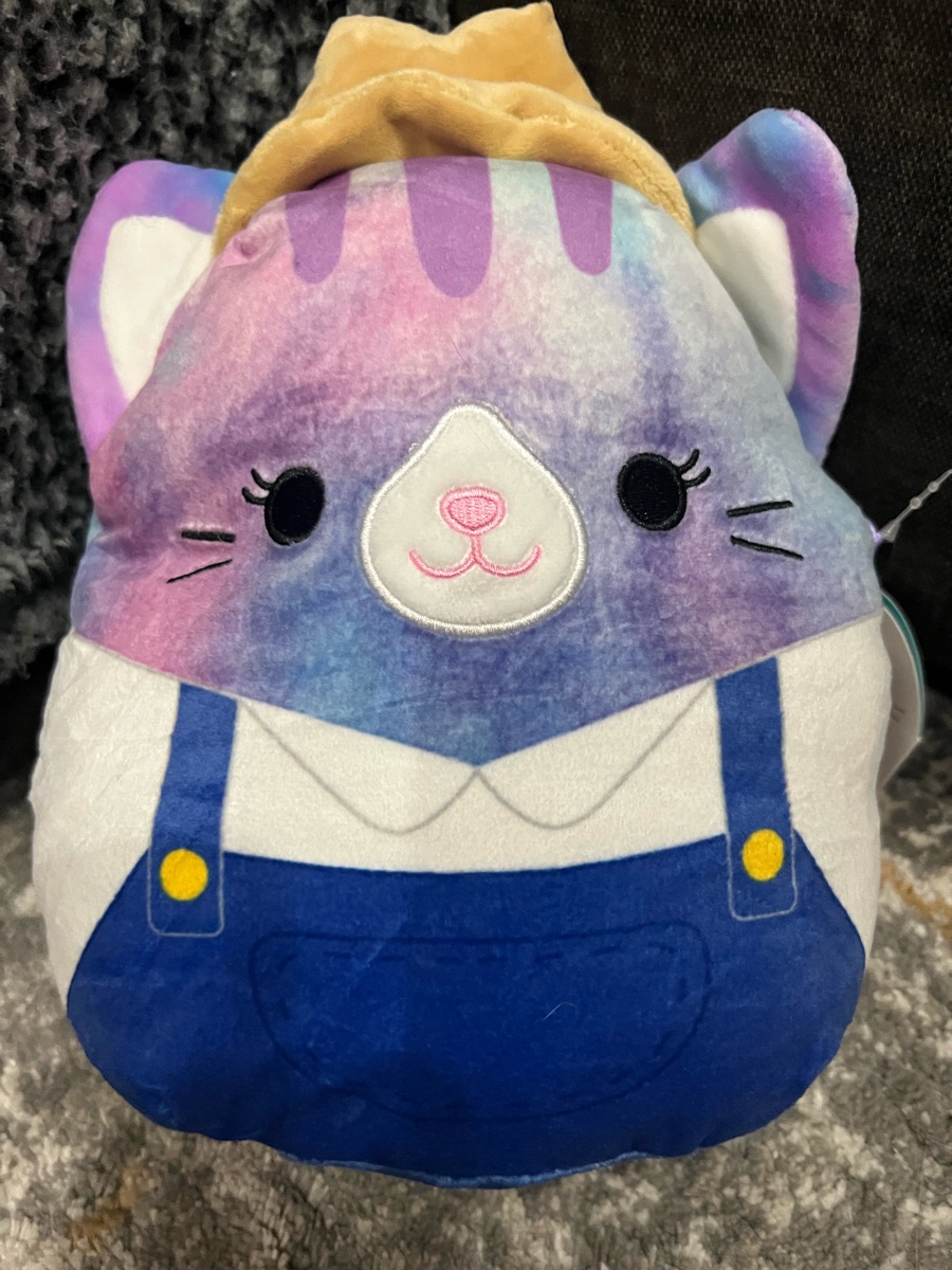 Squishmallows Eloise the 2024 Cat 24