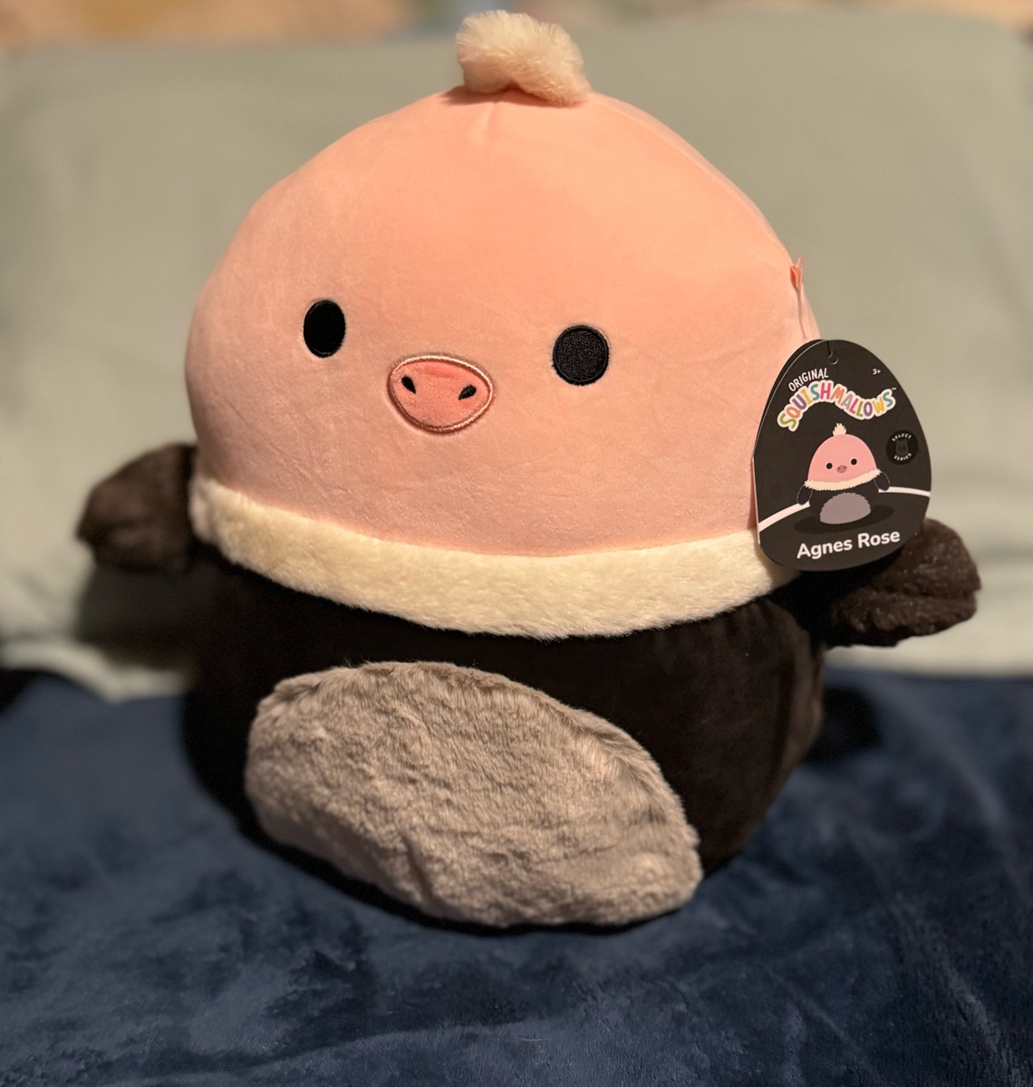Agnes Rose the Ostrich Squishmallows Select Series | SquadApp