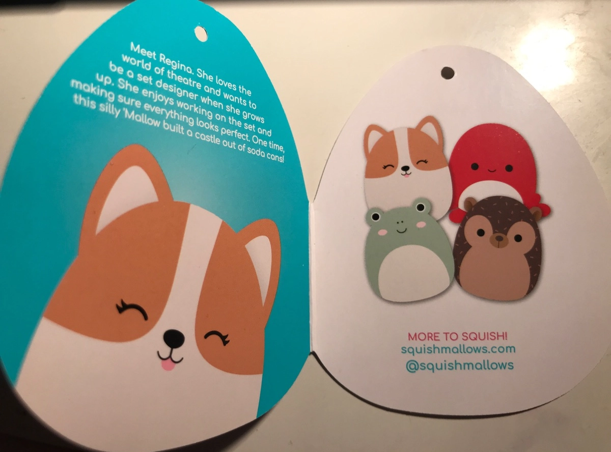 Regina the (Dog) Squishmallows SquadApp