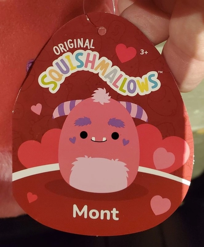 Mont the Monster Squishmallows Valentines 2024 | SquadApp