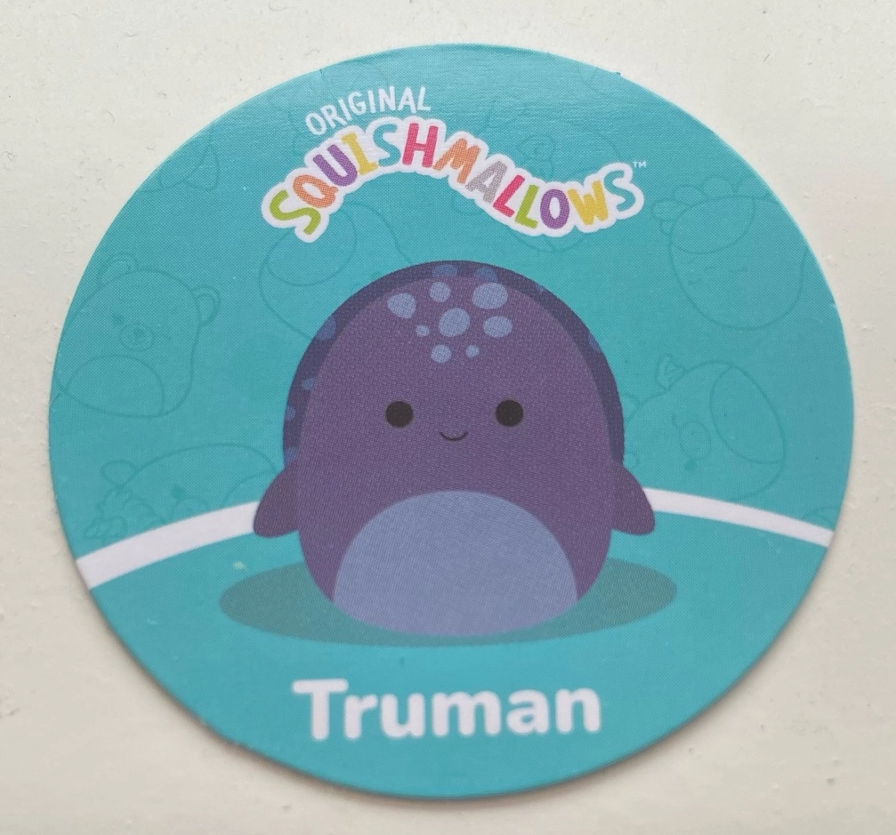 Squishmallows Peluche de 19,1 cm - Truman la Tortue Luth