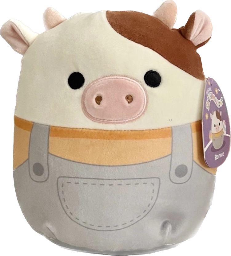 Outlets On hold! Do not buy! Thanks! Squishmallow Ronnie Candess Connor 12 inch