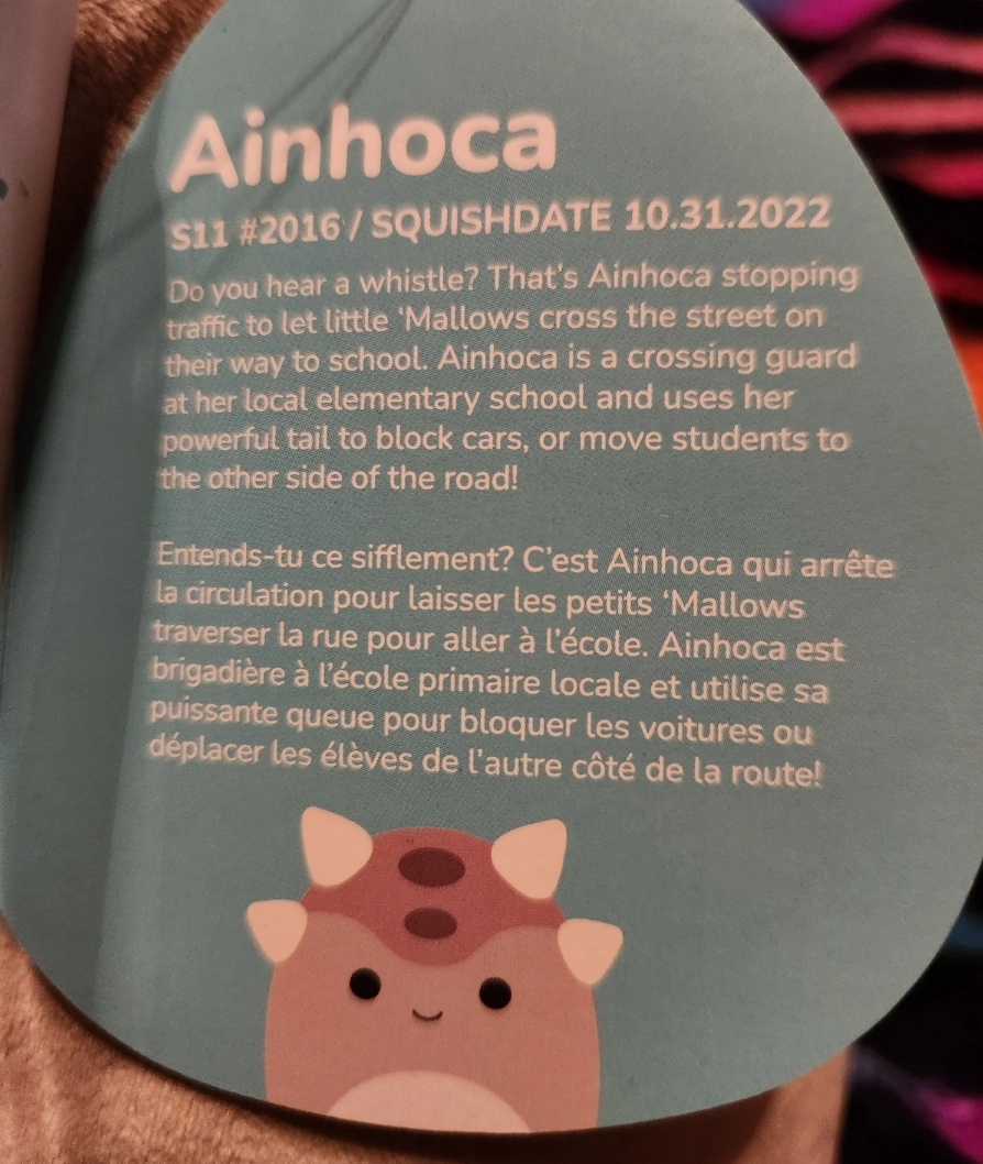 Ainhoca the Ankylosaurus Dinosaur Squishmallows Newbie, Fan Faves, 5B ...