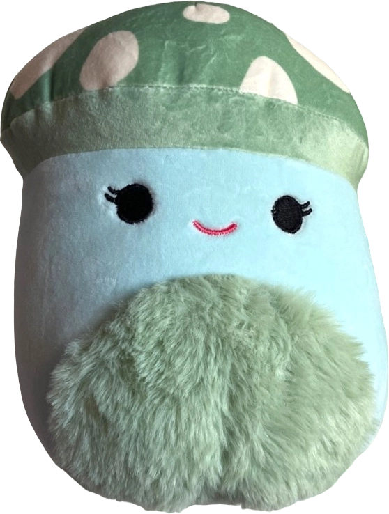Bo Lynn the Mushroom Squishmallows Cottagecore, 5B 11.19.23 | SquadApp