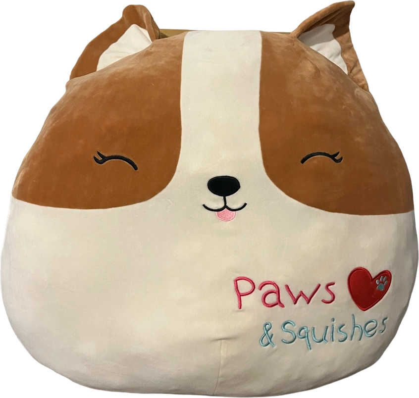 Custom ordered newest Regina the 16” backpack Squishmallows corgi dog