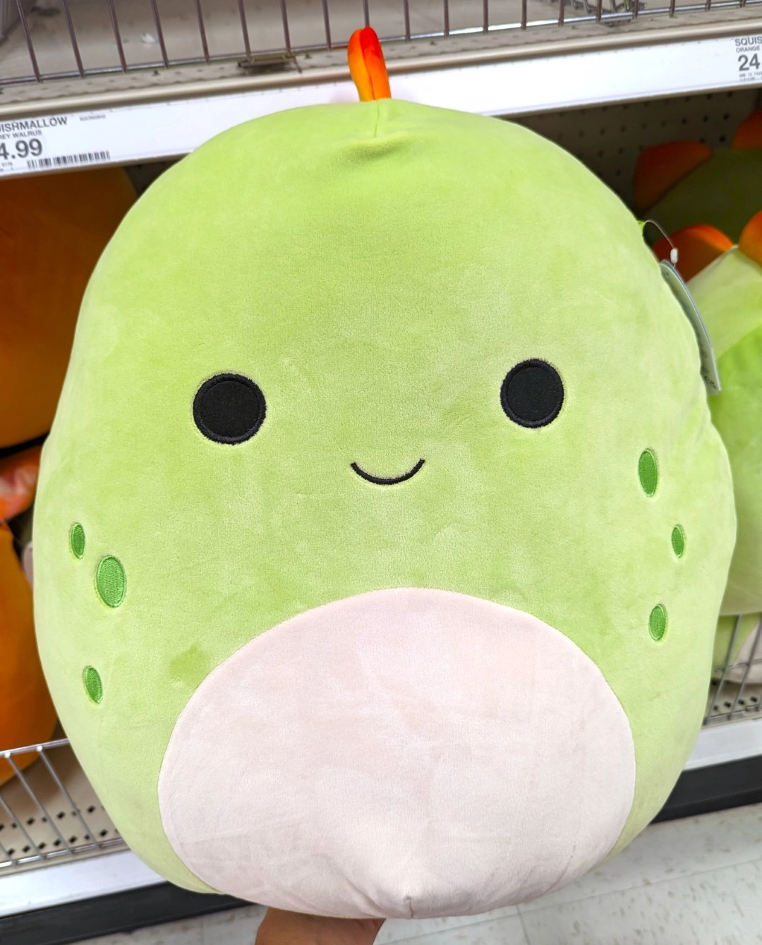 Seanster the Stegosaurus Squishmallows | SquadApp