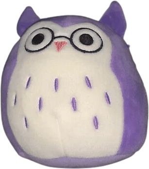 Holly the Owl with Glasses Squishmallow outlet Clip