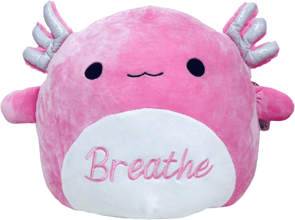 Squishmallow Akina 24” top Axolotl box lunch exclusive