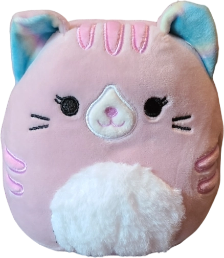 Tabitha the Cat Squishmallows Costco Box Set | SquadApp