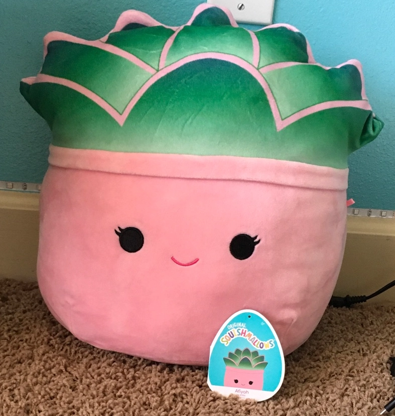 Afiyah the Succulent Squishmallows Succulents | SquadApp