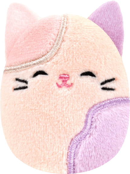 Carlota the Cat Squishmallows Purple Pals | SquadApp