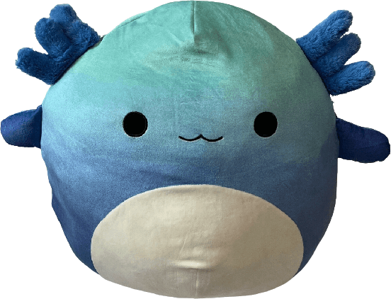 Miss Vi the Axolotl Squishmallows | SquadApp