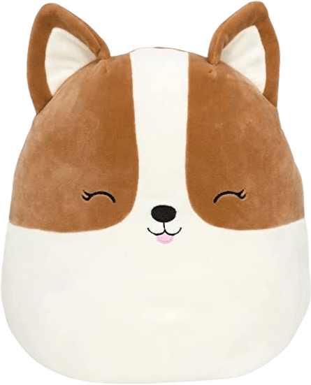 Squishmallows Fitz online the Corgi 5