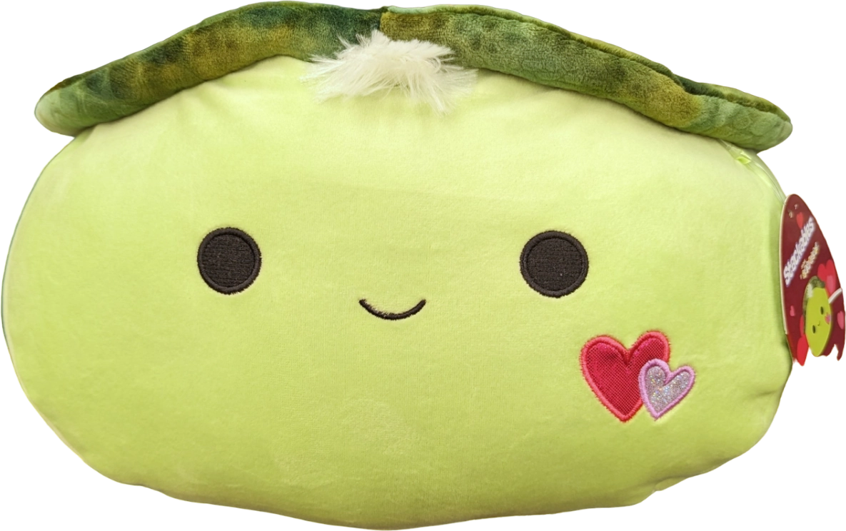 Henry the Turtle Squishmallows Valentines 2024 | SquadApp