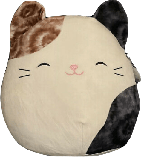 Cam The Cat Squishmallows 5 Year Anniversary 