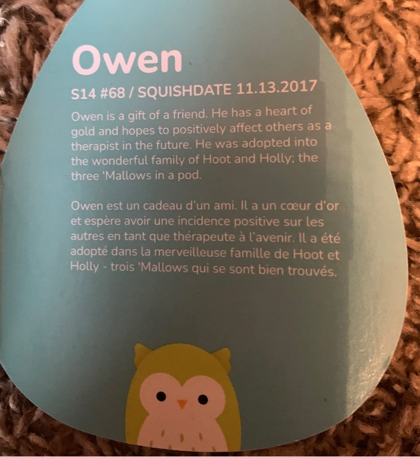 Squishmallow Owen top the Owl 8