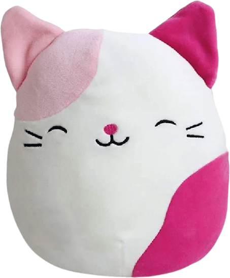 Roxy the Cat Squishmallows Valentine | SquadApp