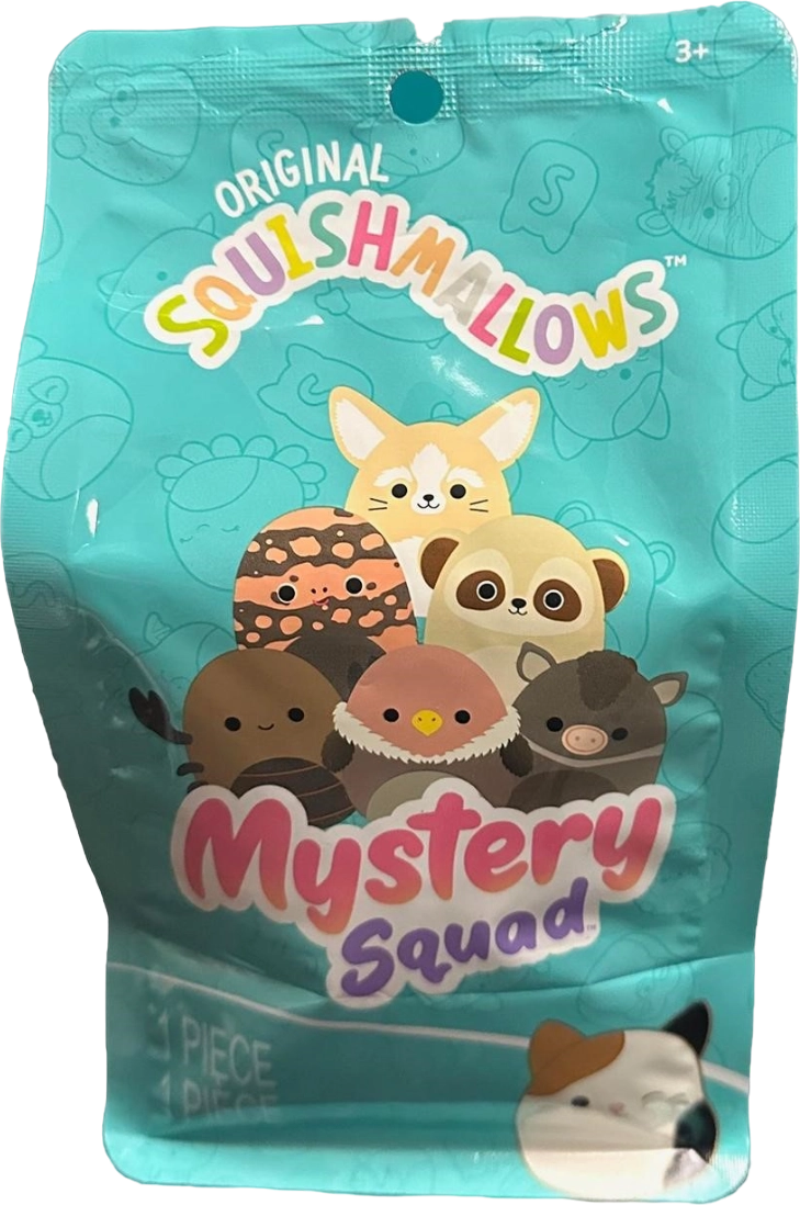 Mystery Squad Bag the Mystery Bag Squishmallows Desert, Mystery | SquadApp