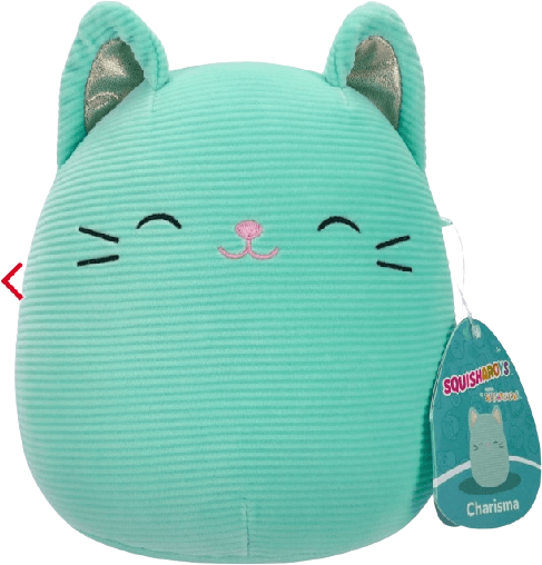 Orders Squishmallows DOTD Jana the Cat 8” HTF