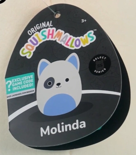 Molinda the Bull Terrier (Dog) Squishmallows Roblox, Select Series ...
