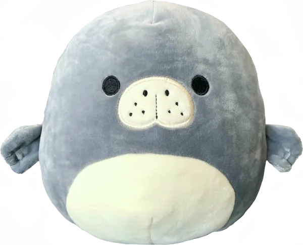Manatee squishmallow outlet