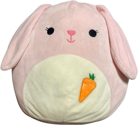 Bop (Carrot) the Bunny Squishmallows Spring | SquadApp