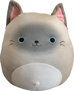 Felton the Siamese Cat Squishmallows Pets | SquadApp