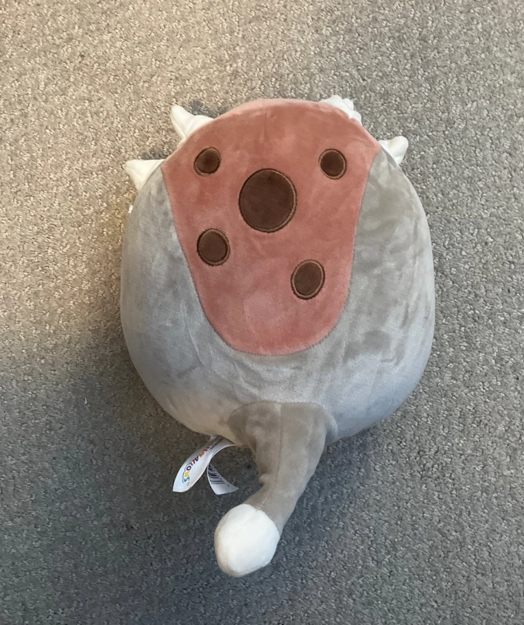 Ainhoca the Ankylosaurus Dinosaur Squishmallows Newbie, Fan Faves, 5B ...