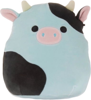 Squishmallow dotd Connor and cheapest Ronnie bundle!