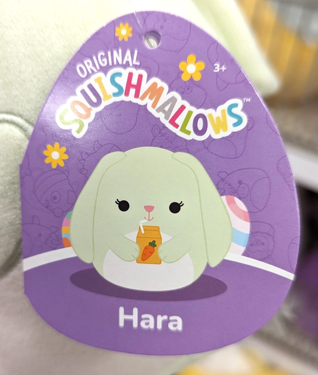 Hara (Carrot Juice Box) the Bunny Squishmallows Easter 2024 | SquadApp