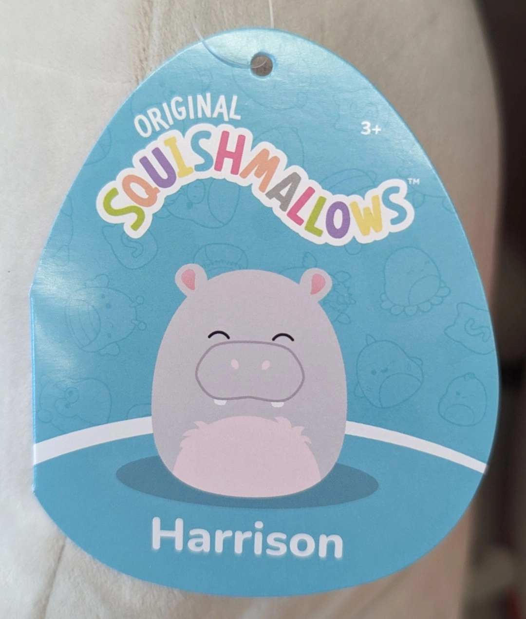 Harrison (Eyes Closed, Fuzzy Belly) the Hippo Squishmallows 5B 12.10.23 ...