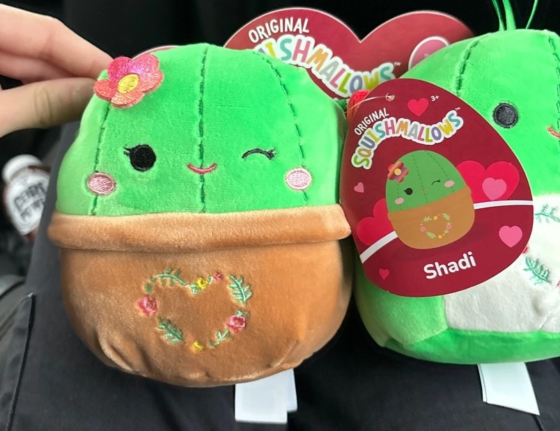 Squishmallow Cacey the Cactus & buy Shadi the Cactus 14” NWT