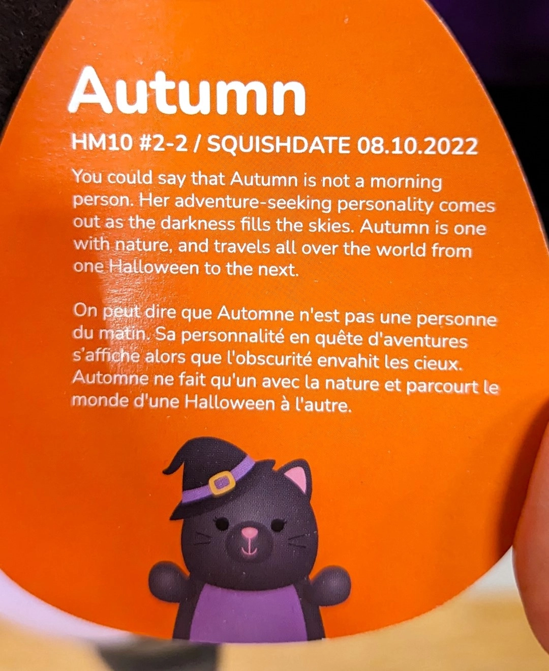 Autumn The Cat Squishmallows Halloween 2023 Squadapp 4283