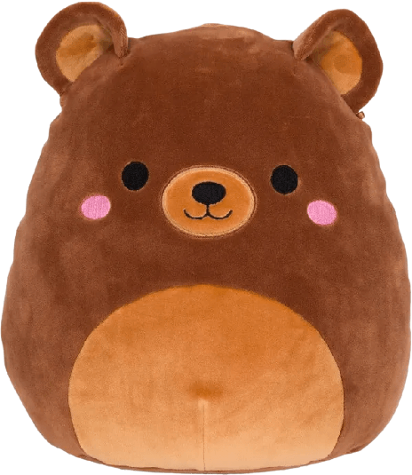 Popular Omar the Bear Squishmallow 24